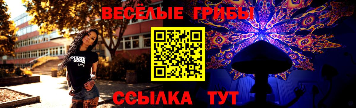 Галлюциногенные грибы Psilocybine cubensis  Галлюциногенные грибы мицелий  Севастополь  Вход с VPN 