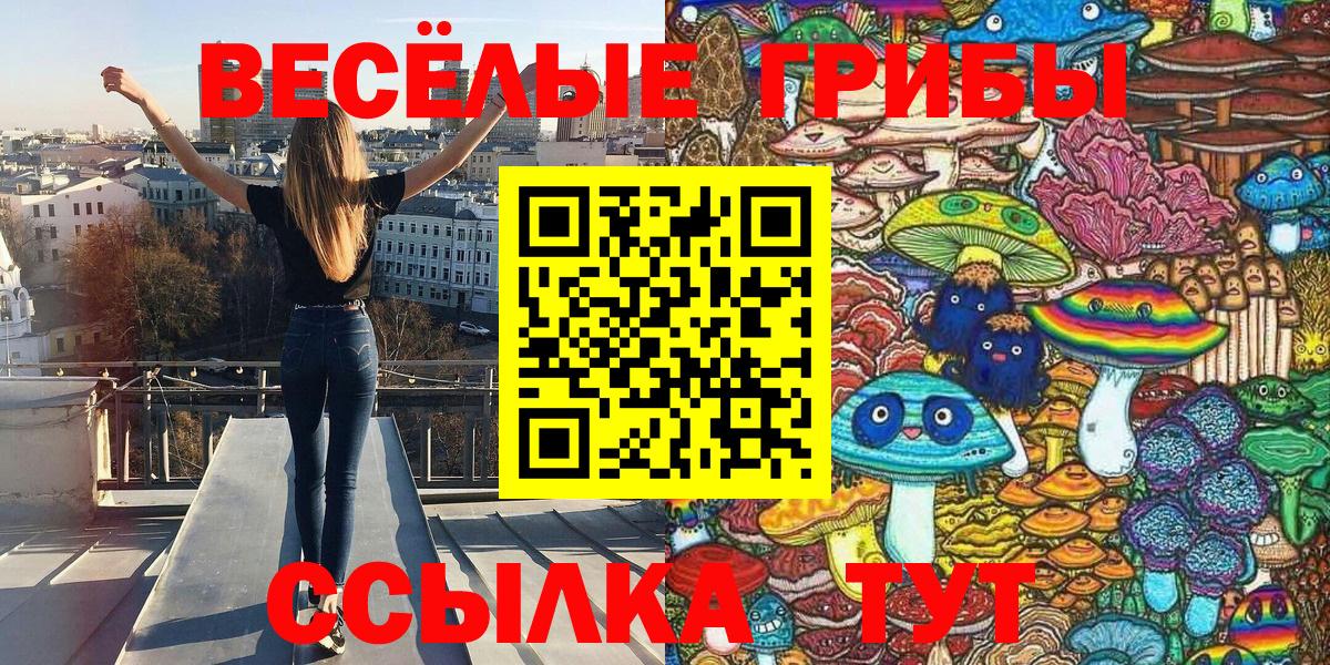Галлюциногенные грибы Psilocybine cubensis Севастополь