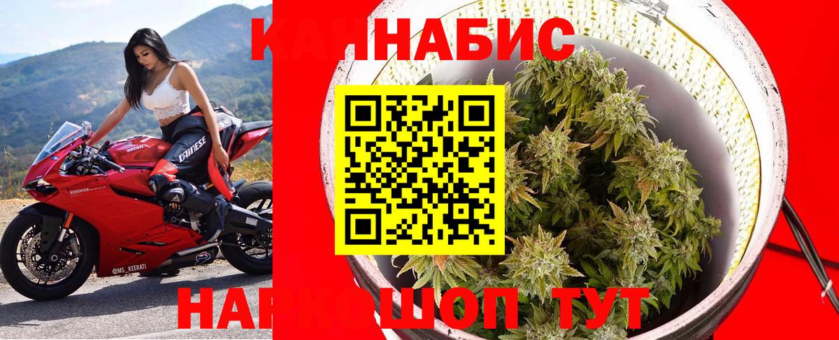 Бошки Шишки Севастополь